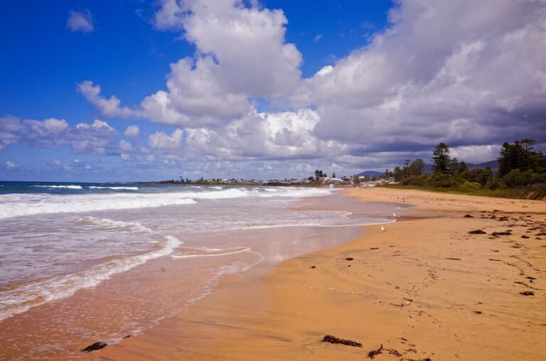 Ocean Shores — Surekil Pest Control In Ocean Shores, QLD