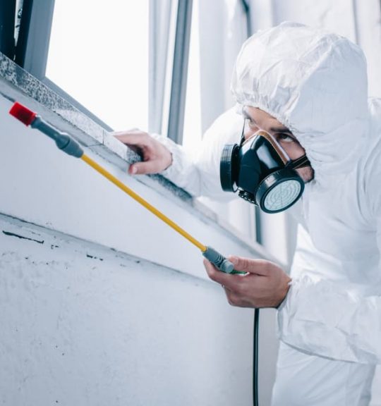 Pest control worker spraying pesticides under windowsill at home — Surekil Pest Control In Cabarita, QLD