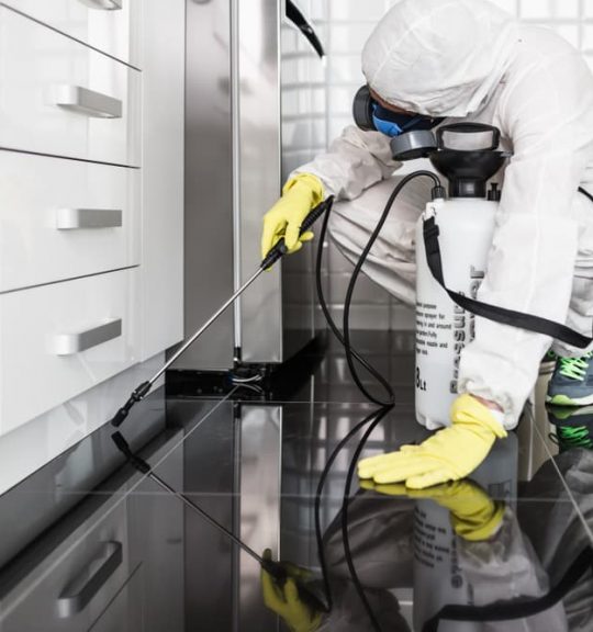 Exterminator in work wear spraying pesticide with sprayer — Surekil Pest Control In Broadbeach Waters, QLD