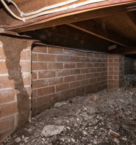 Termite under the floor of a house — Surekil Pest Control In Broadbeach Waters, QLD