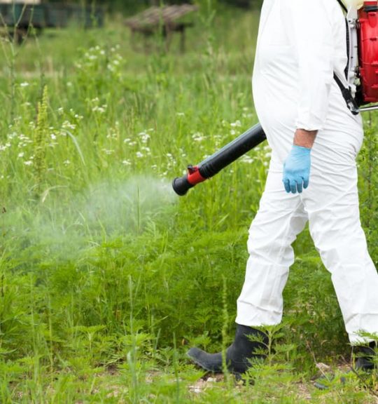 Man in protective workwear spraying herbicide on ragweed — Surekil Pest Control In Arundel, QLD