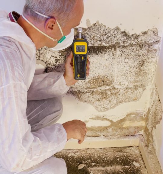 a professional pest control contractor or exterminator in a white safety dress and mask at a mold destroyed wall with a moisture meter check for mold pests and bugs and humidity — Surekil Pest Control In Bilinga, QLD