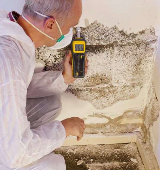 A Termite Inspections
