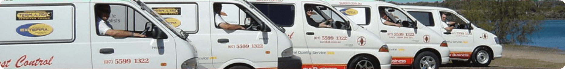 Fleet of Pest Control Vans — Surekil Pest Control In Tweed Heads, NSW