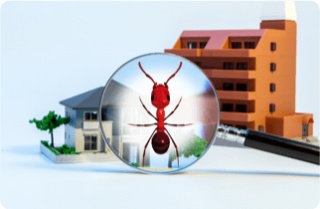 Commercial Pest Control — Surekil Pest Control In Tweed Heads, NSW
