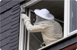 Bee & Wasps Pest Control — Surekil Pest Control In Tweed Heads, NSW