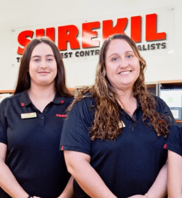 Surekil Office Staff — Surekil Pest Control In Tweed Heads, NSW
