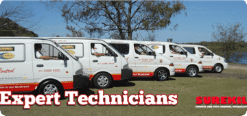 Pest Control Vans — Surekil Pest Control In Tweed Heads, NSW